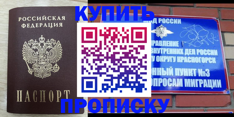прописка гарантия в Георгиевске